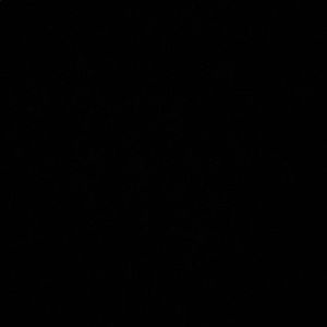 Meet your Posher, Valentina